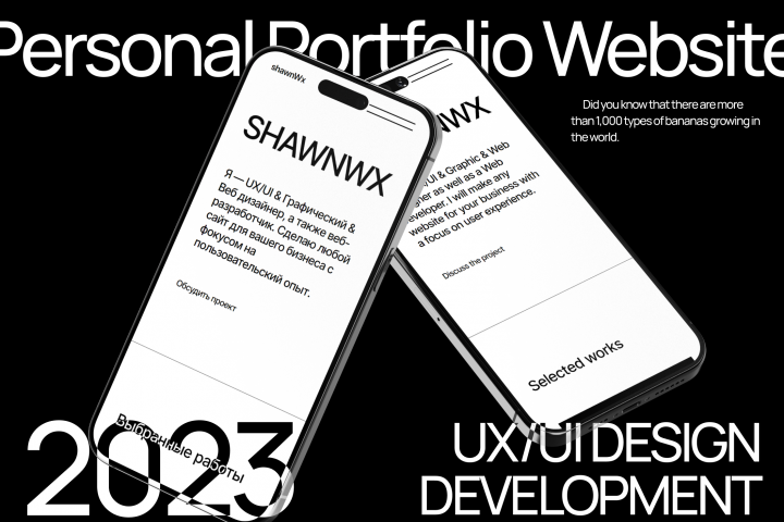 Личный Сайт Портфолио — Веб-дизайн, Разработка