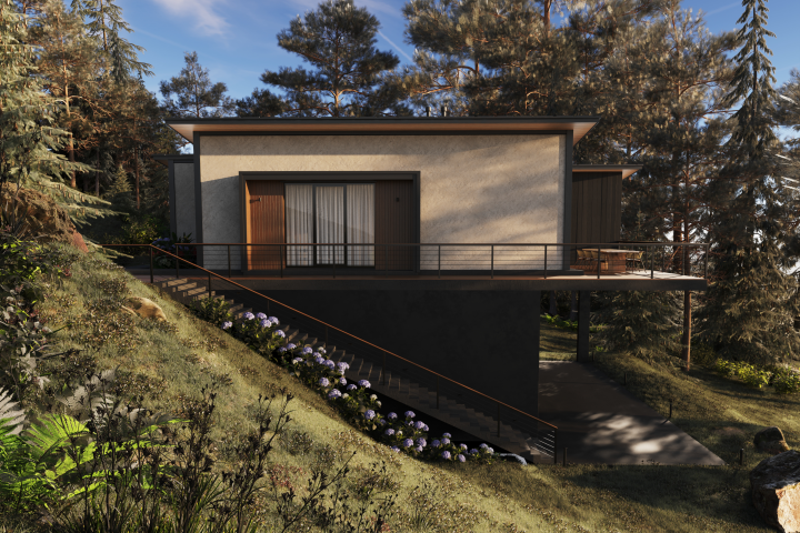 Contemporary Pine Forest Home