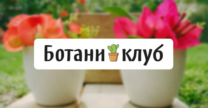 Логотип маркетплейса