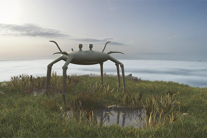 Lonely crab