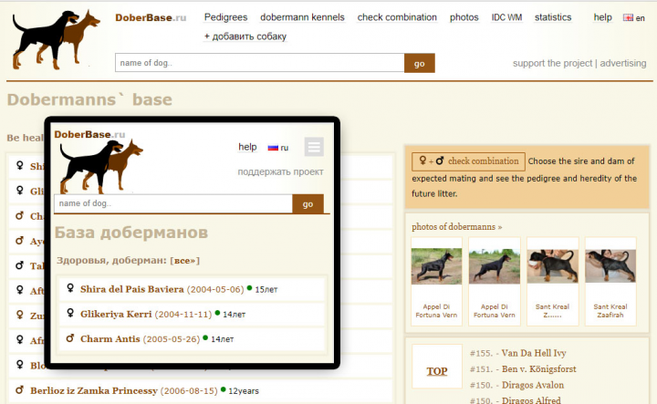 База родословных собак.