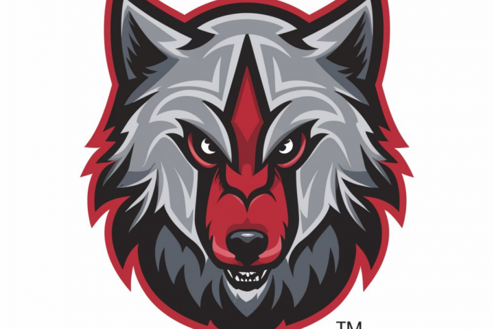 лого для хокеиной команды