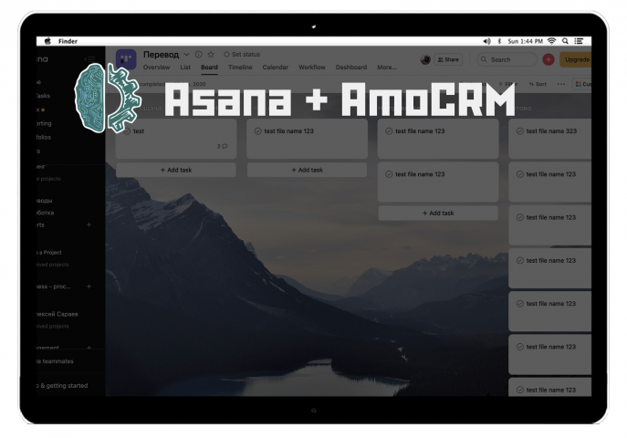 Интеграция Asana с AmoCRM