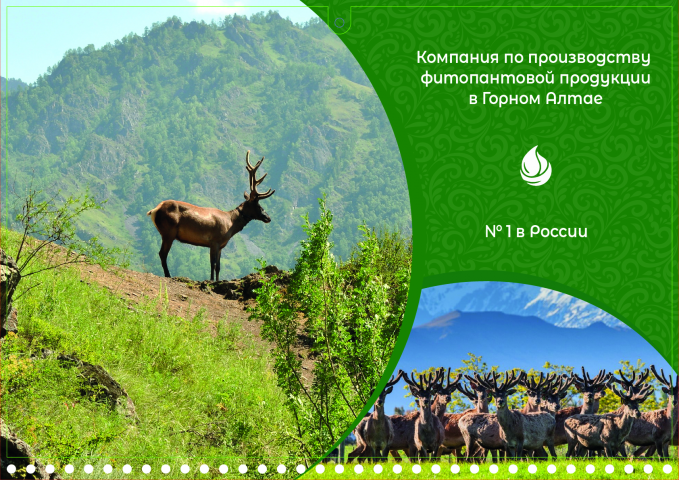 Квартальный календарь