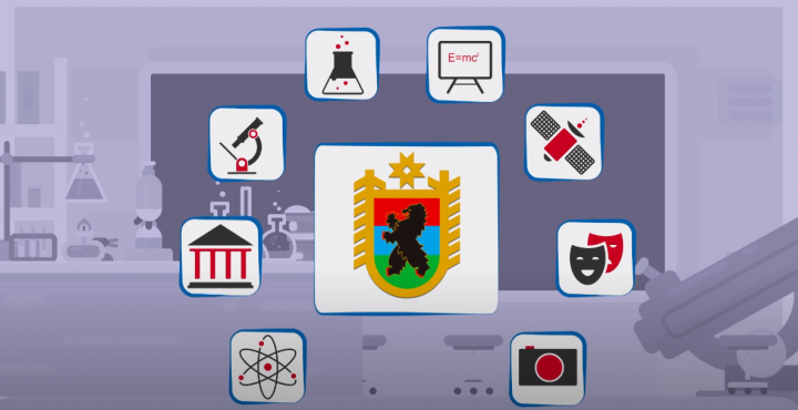 Объясняющий анимационный ролик-сертификаты на доп.образование