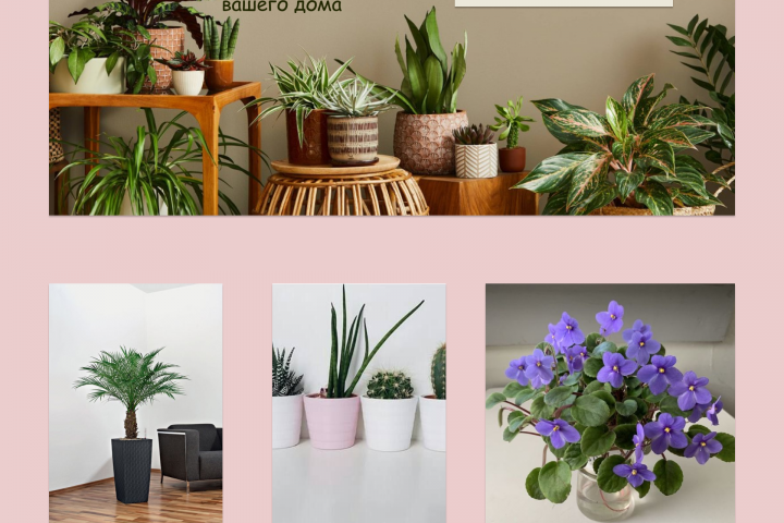 Интернет- магазин цветов