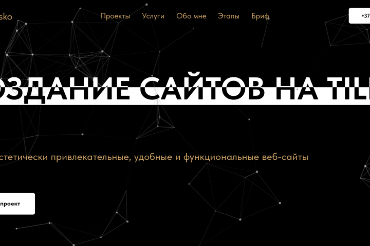портфолио