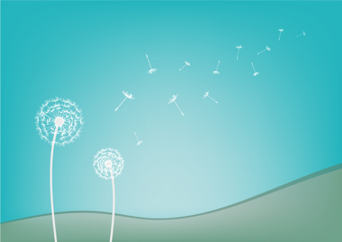 wind