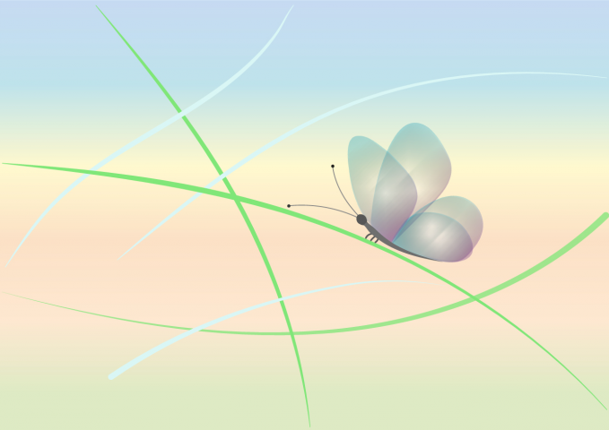 butterfly