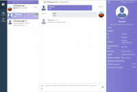 Онлайн-консультатнт