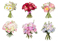 Обтравка, цветокоррекция, ретушь /цветы/