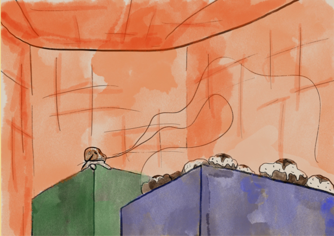 Раскадровка к рассказу