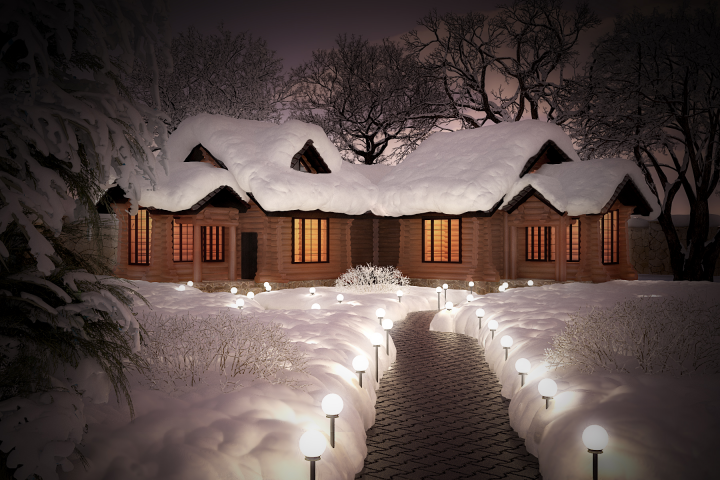 3ds max