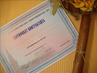 Диплом консультанта
