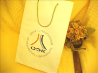 Бумажный пакет "ОЭК"