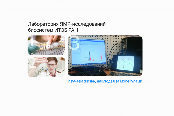 Лаборатория ЯМР-исследований