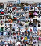 Команда 2014