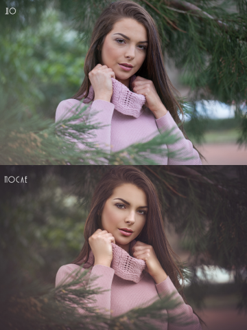 Ретушь, тонирование