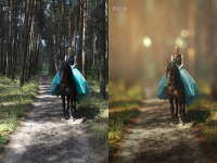 Обработка фото: ретушь, коррекция, тонирование.