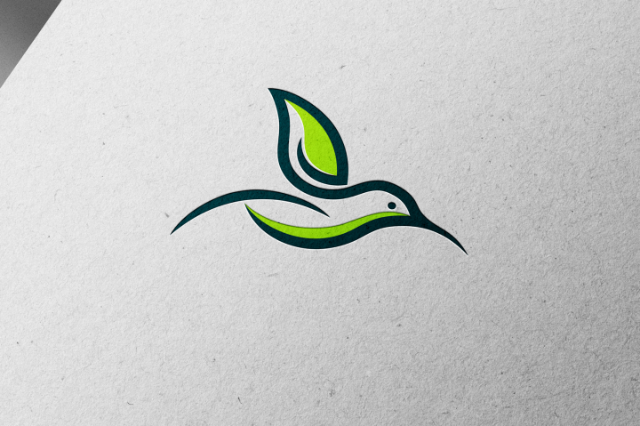 Логотип "Fly Studio"