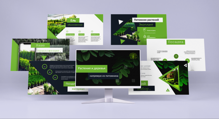 Презентация для питомника растений