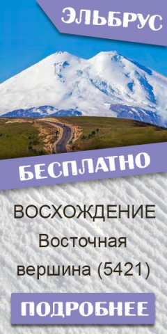 Работа 3312374