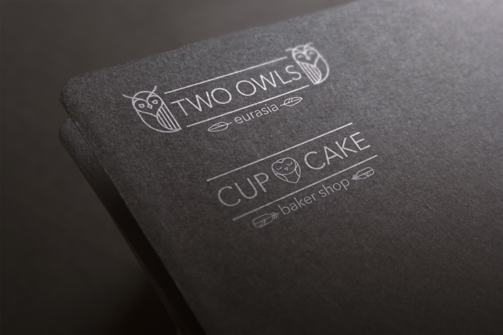 Two owls