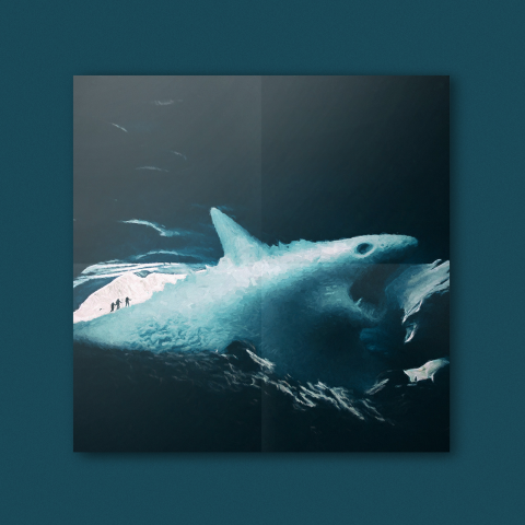 frozen shark