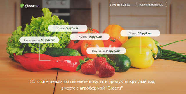 Компания "Greens". Продажа оборудования для выращивания овощей.