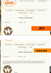 Оптимизация сайта GINTO
