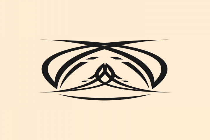 Логитип для несуществующей коспании "X fly"