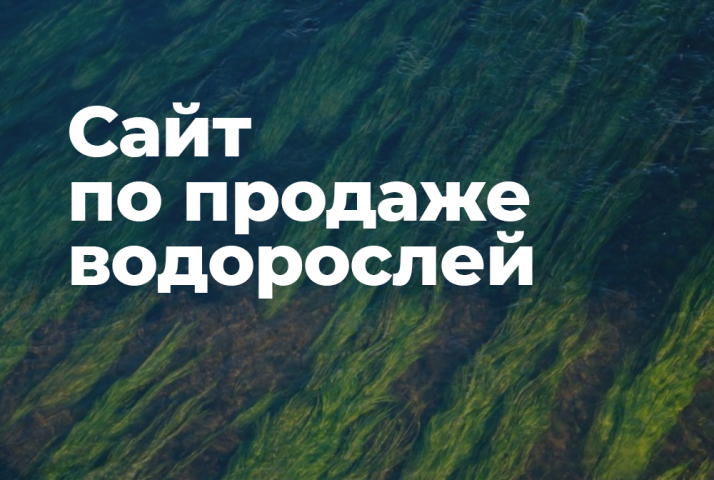 Интернет-магазин водорослей