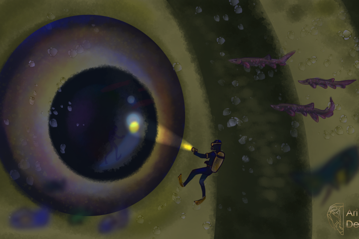 Подводный мир