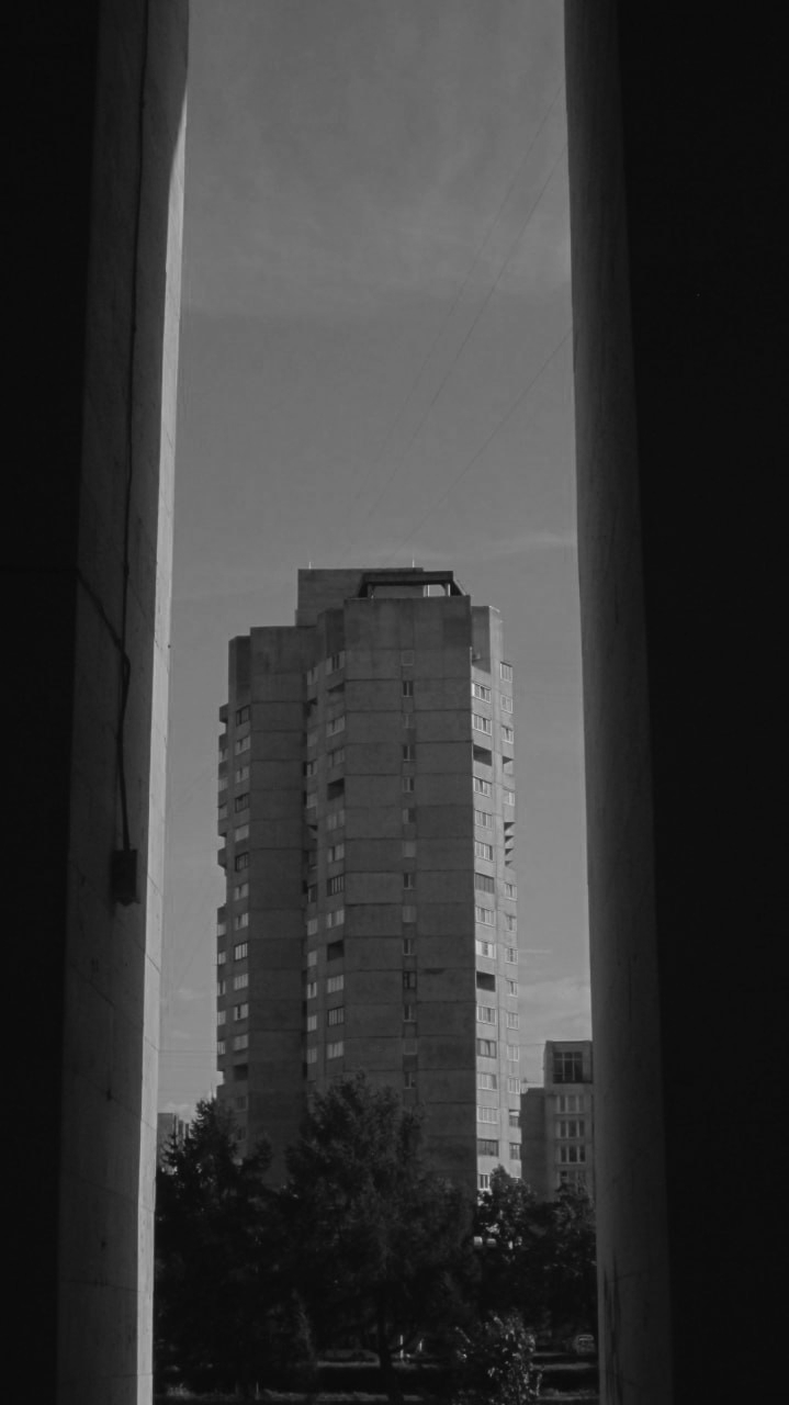 pic4501160.jpg