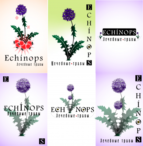 Магазин лечебных трав "Echinops"