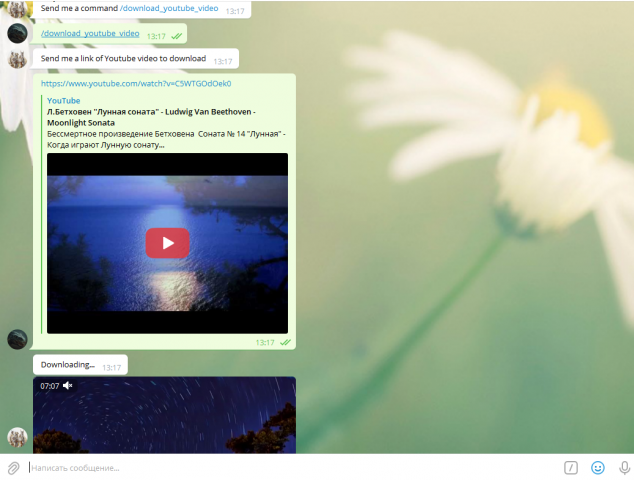 TelegramBot YoutubeVideoDownloader