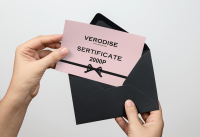 Логотип и брендирование для бренда одежды "VERODISE" г. Москва