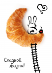 Работа 2819073