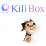 кошачий бокс