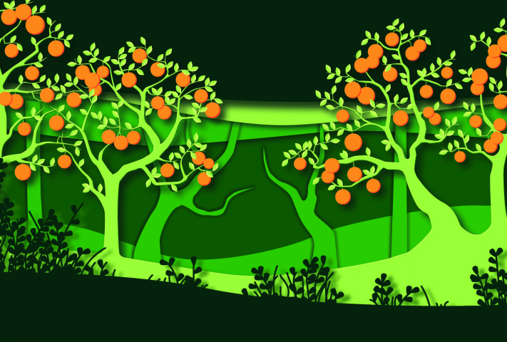 Анимация мандаринового сада