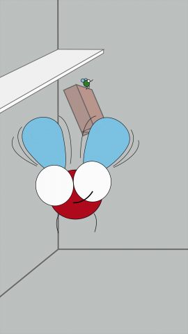 Кирпич и муха