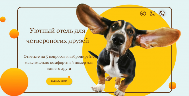 Гостиница для животных с видеонаблюдением