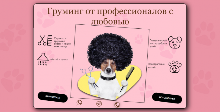 Стильные стрижки и уход за четвероногими друзьями