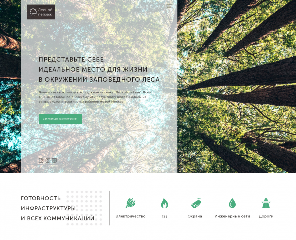 Лесной пейзаж