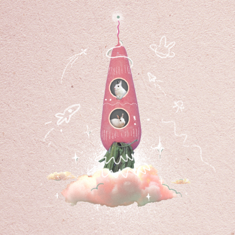 Коллаж "Rabbits in space"