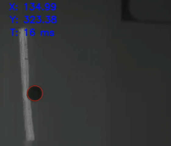 Программа распознавания меток с камеры