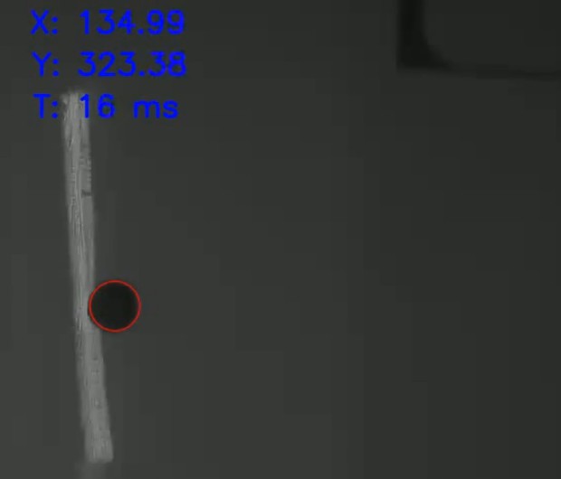pic4471279.jpg