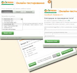 Тестирующая система для проверки знаний иностранных языков
