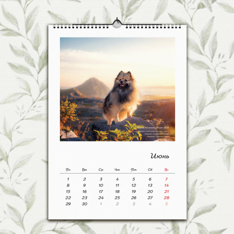 Календарь 2020 (1)