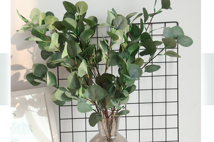 Обложка журала